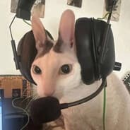 Avatar of player прыголап