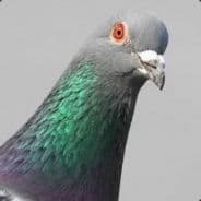 Avatar of player Курлык-курлык