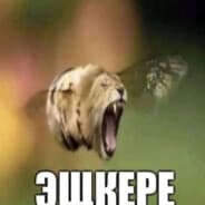 Avatar of player ПАНКУХА АРТЕМ