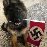 Avatar of player iϟϟrael