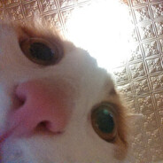 Avatar of player ыыыЫЫЫыыыыыыЫЫЫЫЫЫЫыыыыыыыыыыыы