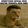 Avatar of player privet kracavchik