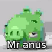 Avatar of player MR ANUS