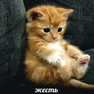 Avatar of player Яйцеслав (prime)