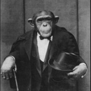 Avatar of player (xXx!KoMAtoZ!xXx)Business Monke