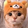 Avatar of player ТАГАНРОГ БУХАЕТ