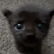 Avatar of player dfgsdfgsdfdfg