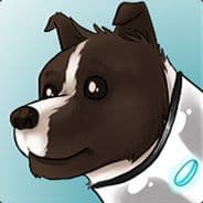 Avatar of player D.V.