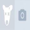 Avatar of player voices in my head