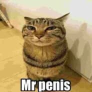 Avatar of player Mr penis