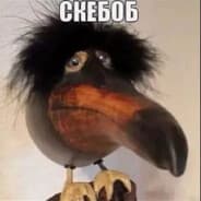 Avatar of player долги 310к и сын
