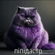 Avatar of player піпідастр