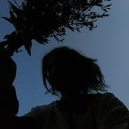 Avatar of player Different_