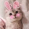 Avatar of player Pussy gameplay