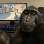 Avatar of player Андрюша Гайдулян