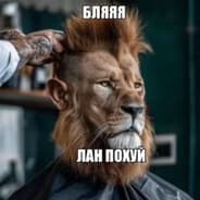 Avatar of player натуралу по ебалу
