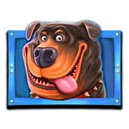 Avatar of player докхаус