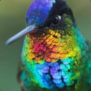Avatar of player ColibreCMLT