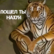 Avatar of player ЛЕША ПИНКМАН