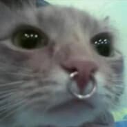 Avatar of player дев'ять пацюків