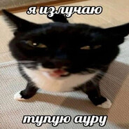 Avatar of player саша
