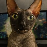Avatar of player БОСС ТИКТОКА