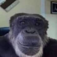 Avatar of player dkc