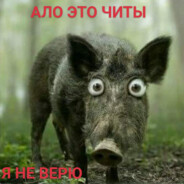 Avatar of player цитадель
