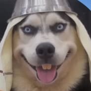 Avatar of player Бугагалик