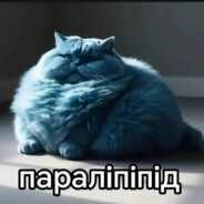 Avatar of player паралiпiпiд
