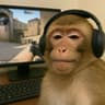 Avatar of player Тотя Бармалей