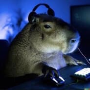 Avatar of player autistic(((