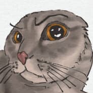 Avatar of player skuur
