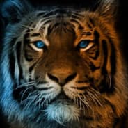 Avatar of player tigeR_St