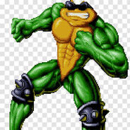 Avatar of player Battletoad
