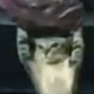 Avatar of player drouz