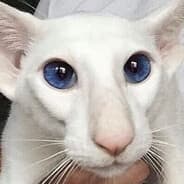 Avatar of player ФРЕНДЛИ ПУК