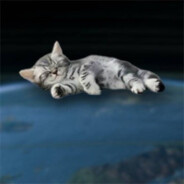 Avatar of player НИГЕРЫ