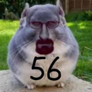 Avatar of player pon41k56
