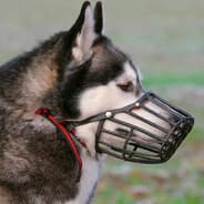 Avatar of player pidorampage
