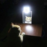 Avatar of player кушаю бублики