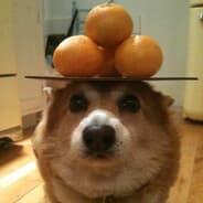 Avatar of player ВНЕЗЕМНОЙ ДЖУГ
