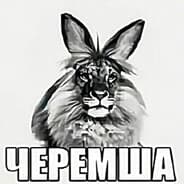 Avatar of player я придурок