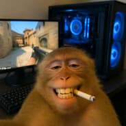 Avatar of player RELAX BRO