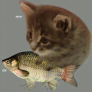 Avatar of player жижликс