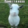 Avatar of player пихалыч