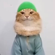 Avatar of player twitch.tv/flynasss