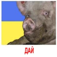 Avatar of player жид кость
