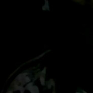Avatar of player ys