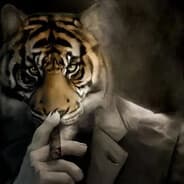 Avatar of player )
